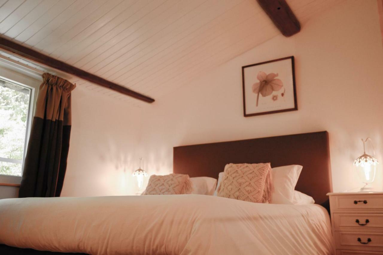 Chambres D'Hotes Domaine Du Hameau Baylesse Saint-Jean-d'Aigues-Vives Luaran gambar